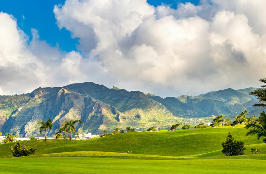 Buenavista del Norte