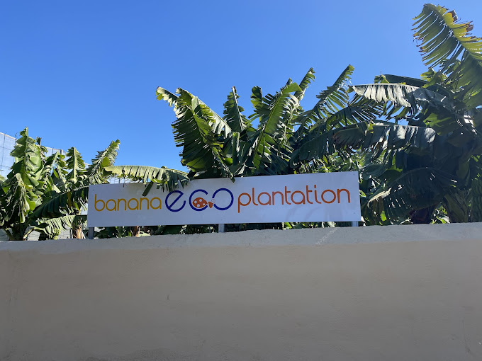 Banana ECOplantation